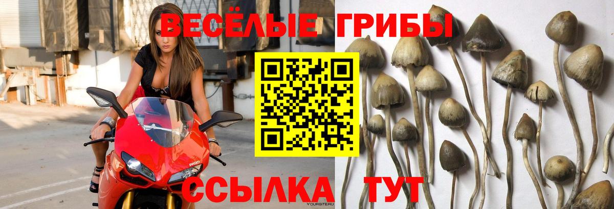 Нижний Новгород  Псилоцибиновые грибы ЛСД  Вход с VPN  Галлюциногенные грибы прущие грибы 