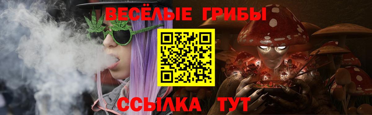 Псилоцибиновые грибы мицелий Нижний Новгород